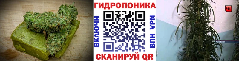 KRAKEN   Лабинск  Canna-Cookies конопля 