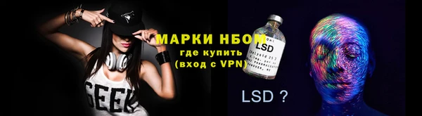 гашик Алексеевка